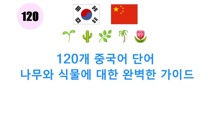 120개 중국어 단어: 나무와 식물에 대한 완벽한 가이드